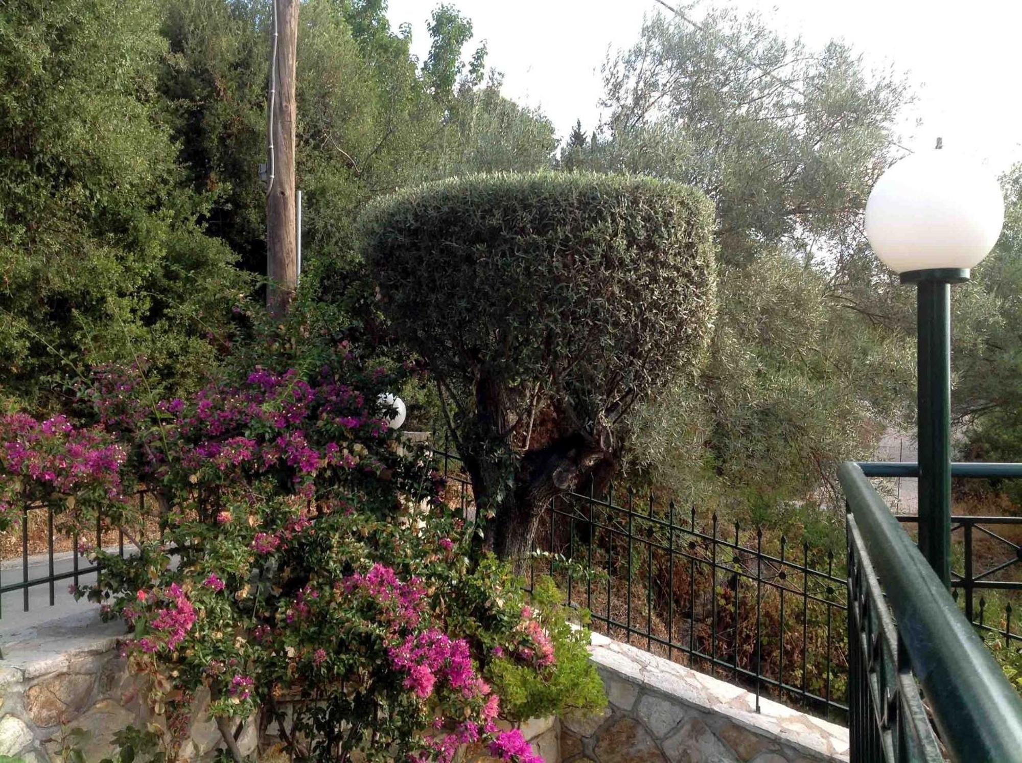 Villa Diana Νικιάνα Εξωτερικό φωτογραφία